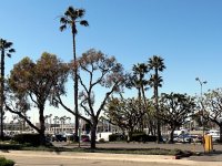 IMG_0184