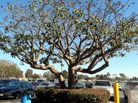 IMG_0186