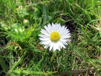 IMG_0194