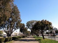 IMG_0202