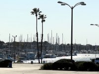 IMG_0204
