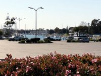 IMG_0208