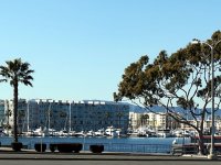 IMG_0229