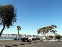 IMG_0230