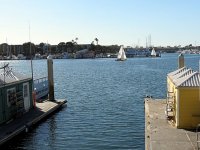 IMG_0257