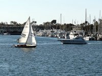 IMG_0258