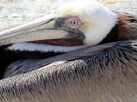 IMG_0263