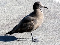 IMG_0293