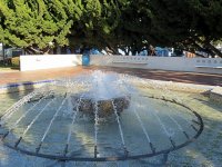 IMG_0299