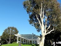 IMG_0312