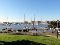 IMG_0318
