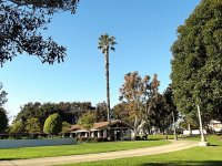 IMG_0324