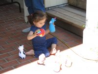 IMG_6164