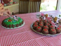 IMG_6254