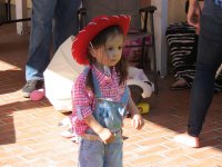 IMG_6337