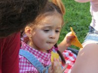 IMG_6345