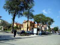 Milas