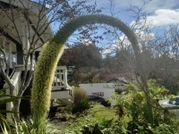 1823e300-212d-4076-b52a-3bbc800da997