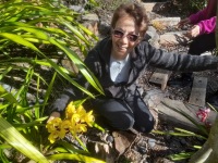 438ce009-e7ab-4a88-9bd7-24733d726e49