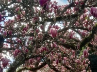 4d3c181c-50bb-4639-8303-a23f0b7246bf