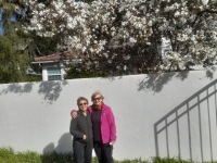 744d0aa4-0838-4838-bae1-853c95bc9577