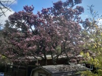 b4098af8-d3b6-4c7e-a041-410d4f50ae61