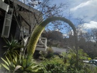 fac396d9-f21e-4531-b3f8-413276c744d9