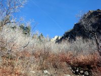 DSC04386