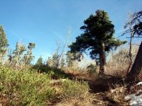 DSC04406