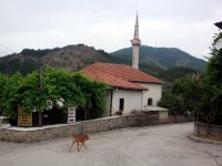DSC05055