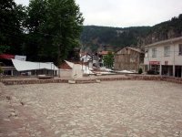 DSC05082