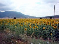 DSC05102