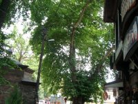 DSC05107