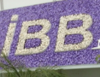 Bayındır Çiçek Festivalinden