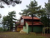 DSC09078