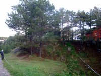 DSC09081