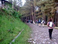 DSC09087