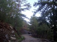 DSC09102