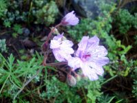 DSC09127