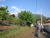 DSC08700