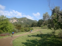 DSC08716