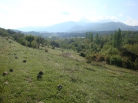 DSC08719