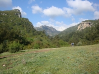 DSC08720