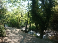 DSC08726
