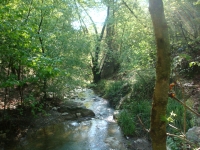 DSC08730