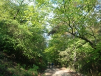 DSC08731