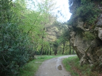 DSC08733