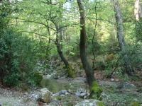 DSC08734