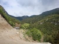 DSC08742