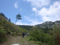 DSC08757